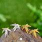 Bamboo Leaves Earrings