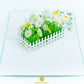Daisy Garden Card