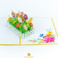 Daisy Garden Card