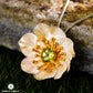 Anemone Flower Peridot Earrings